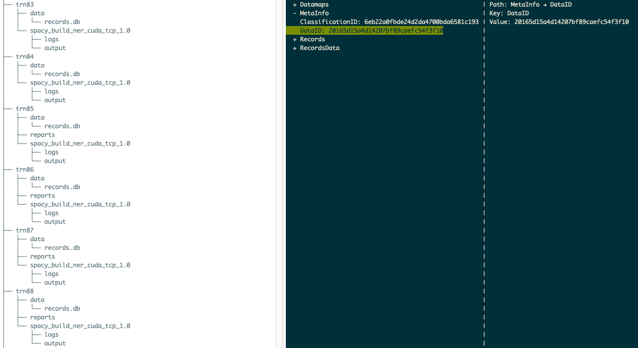 Data versioning Data versioning
